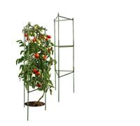KJBDQQH Gabbia per pomodori Pali for ortaggi da Giardino, Gabbie for Piante for sostenere la Crescita dei pomodori antiribaltamento(Multi19)