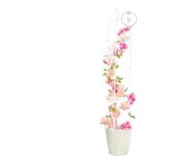 KJBDQQH Gabbia per pomodori Una mensola for Piante rampicanti, Una Torre Faro e balconi con Struttura di Supporto in Stile Europeo(120cm-white-bird)