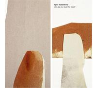 Kjetil Mulelid Trio Who Do You Love the Most? (Vinyl LP) 12" Album
