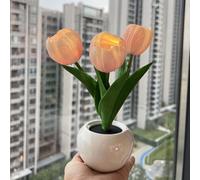 KJHFD Lampada Comodino in Legno Tulips Night Light with Ceramic Vase Tulip Fright Calda Notte Caldo con Tavolo da Tulipano a Simulazione della Batteria per la casa