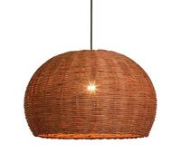 KJHFD Orologio Unisex avvoltore Ciondolo Bohémien Light Style Retro Regolable Boho Pendente Cucina Cupola Grande pianto di casa Il Paralume, Illuminazione Cestino con Lampada a Sospensione per Cesto