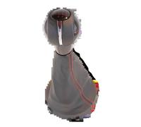 kjjukrhfs Gear Shifter Manopola Per Mini Per Cooper F54 F55 F56 F57 F60 Pomello Cambio In Pelle Sintetica 5/6 Velocità Con Copertura Antipolvere Copri Cuffia Cambio(Red 6 Speed cover)