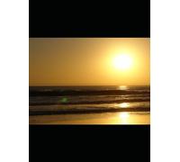 KJV Interleaved Journaling Bible - the Gospel of John