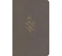 KJV Large Print Compact Reference Bible, Clay LeatherTouch