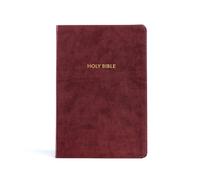Kjv Arcobaleno Study Bibbia,Bordeaux Leathertouch,con Indice a Rubrica Holman