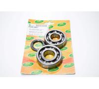 KK01007 - KIT CUSCINETTI+PARAOLI BANCO MAJESTY 250 DAL 1996 AL 2003