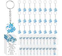 Kklolai Set di 25 bomboniere funebri per gli ospiti non ti scordar di me, portachiavi, biglietti commemorativi per commemorazioni, sacchetti in organza per i propri cari, per celebrazione della vita