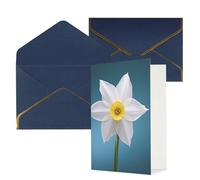 KKLWEGU Biglietto di auguri bianco narciso con buste Thinking of You Biglietto di buon compleanno invito a nozze biglietti vuoti per tutte le occasioni 4x6