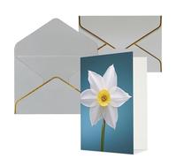 KKLWEGU Biglietto di auguri bianco narciso con buste Thinking of You Biglietto di buon compleanno invito a nozze biglietti vuoti per tutte le occasioni 4x6