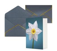 KKLWEGU Biglietto di auguri bianco narciso con buste Thinking of You Biglietto di buon compleanno invito a nozze biglietti vuoti per tutte le occasioni 4x6