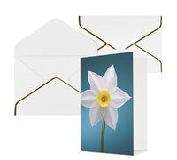 KKLWEGU Biglietto di auguri bianco narciso con buste Thinking of You Biglietto di buon compleanno invito a nozze biglietti vuoti per tutte le occasioni 4x6