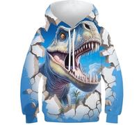 KKOLASXZE Stampa 3D Dinosauro Felpa Felpe con Cappuccio con Tasche PulAmorer Unisex Bambino Bambini E Ragazzi 9-11Y