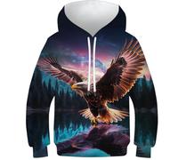 KKOLASXZE Stampa di 3D Aquila Felpa Hoodie con Tasche PulAmorer Unisex Bambino Bambini E Ragazzi 11-13Y