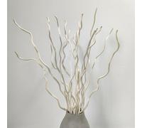 KKTHDM Ramo di salice riccio naturale essiccato 15 steli bastoncini bianchi decorativi 22 pollici, piccole zucche reali 3 pezzi per l'arredamento della casa (bianco)