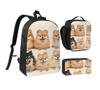 kkvhhyuo Set di zaino per la scuola con stampa matematica con zaino per bambini da 43 cm, borsa per il pranzo e astuccio per adolescenti, ragazze, ragazzi, zaino leggero da viaggio, Modello Pomerania