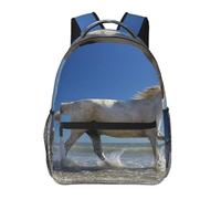 kkvhhyuo Zaino casual con stampa in legno blu, zaino leggero per libri e computer portatile, per viaggi, università, pendolarismo e avventure nel fine settimana., Tramonti Lago Cavalli, One Size
