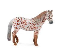 Klacz British Spotted Pony masci kasztan Leopard XL