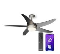Bolero - Ventilatore a soffitto 2 in 1, 132 cm, lampada da 55W, telecomando, controllo con app, 2 sensi di rotazione