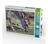 Klatt Arno - Puzzle "Calvendo", il piccolo asiatico nelle nostre foreste, 1000 pezzi, dimensioni: 64 x 48 cm