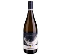Klaus Lentsch: Pinot Bianco DOC Classico - 2023