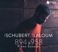 Franz Schubert Franz Schubert: Piano Sonatas 894 & 958 (CD) Album