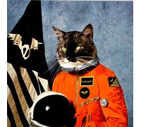 Klaxons Surfing the Void (CD) Album