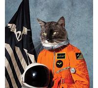 Klaxons The - Surfing The Void (Vinyl Orange) (Rsd 2020)