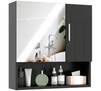 kleankin Armadietto Specchiera Bagno 2 Ante Ripiano Aperto 54x15.2x55.3cm