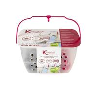 Kleeneze Steady-Grip Pegs con Cestello - 36 Mollette per Bucato Resistenti & Cesto Portaoggetti, Resistente a Ruggine e Umidità, Plastica Riciclata, Trasportabile, Asciuga Naturalmente il Bucato