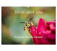 Klein aber oho. Die bunte Welt der Insekten (Wandkalender 2026 DIN A2 quer), CALVENDO Monatskalender: Die farbenfrohe Welt der Insekten