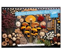 Kleine Geschenke der Natur (Tischkalender 2026 DIN A5 quer), CALVENDO Monatskalender: Ein Kalender voller kleiner Naturschätze - kunstvoll im ... zum Entdecken, Staunen und Schenken