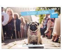 Kleine Helden - eine Hommage an die Mopsrasse (Tischkalender 2026 DIN A5 quer), CALVENDO Monatskalender: Berührende Augenblicke und einzigartige Einblicke in das Leben dieser kleinen Helden.