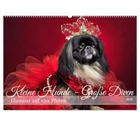 Kleine Hunde - Große Diven (Wandkalender 2026 DIN A2 quer), CALVENDO Monatskalender: Kleine Hunde werden zu glamourösen Stars