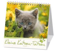 Kleine Katzen-Tatzen 2027: Postkarten-Kalender