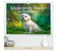 Kleine weiße Wunder - ein Jahr mit Maltesern (hochwertiger Premium Wandkalender 2027 DIN A2 quer), Kunstdruck in Hochglanz: Wenn Sie Malteser lieben, greifen Sie zu!