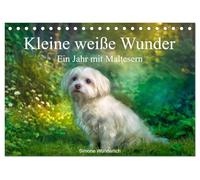 Kleine weiße Wunder - ein Jahr mit Maltesern (Tischkalender 2027 DIN A5 quer), CALVENDO Monatskalender: Wenn Sie Malteser lieben, greifen Sie zu!