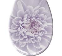 Kleine Wolke Sedile WC Duroplast, Lavanda 37 x 45 cm