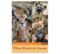 Kleine Wunder der Savanne (Wandkalender 2026 DIN A2 hoch), CALVENDO Monatskalender: Kleine Wunder der Savanne ist ein inspirierender Kalender, der die ... Lebens in der afrikanischen Savanne einfängt.