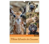Kleine Wunder der Savanne (Wandkalender 2026 DIN A3 hoch), CALVENDO Monatskalender: Kleine Wunder der Savanne ist ein inspirierender Kalender, der die ... Lebens in der afrikanischen Savanne einfängt.
