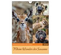Kleine Wunder der Savanne (Wandkalender 2026 DIN A4 hoch), CALVENDO Monatskalender: Kleine Wunder der Savanne ist ein inspirierender Kalender, der die ... Lebens in der afrikanischen Savanne einfängt.