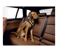 Kleinmetall 15380200 Allsafe Cintura di Sicurezza per Cani, Taglio L