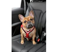 Kleinmetall 15390100 - Cintura di Sicurezza per Cani, Taglia S