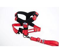 Kleinmetall Allsafe Comfort - Cintura di Sicurezza per Cani, Taglia L