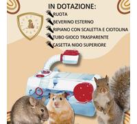 KLEO BOX VIP Gabbia CRICETI Cavie Topi Piccoli Roditori Accessoriata 57X37X31h