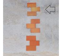 KLINKER 24x12x1 cm PIASTRELLA PAVIMENTO | siena/sahara/foglie d'autunno/terra