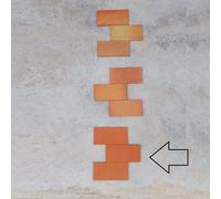 KLINKER 24x12x1 cm PIASTRELLA PAVIMENTO | siena/sahara/foglie d'autunno/terra