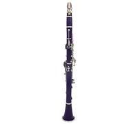 KLKL clarinetto 17-Key Clarinet BB Flat Binoculare Binoculare Clarinetto in Sughero GRASSICO GRANUE Guanti di Stoffa 10 ance cacciavite (Color : 04)