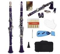 KLKL clarinetto 17 Keys Clarinet BB B Strumento Professionale Professionale Piatto Addominali Clarinetto Tubo in Resina con Parti di Strumenti Musicali A Canna con Scatola (Color : Purple)