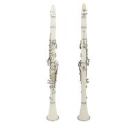 KLKL clarinetto BB Clarinet 17 Keys B Flat Klarnet Addominali Body Material Clarinette Strumento di Legno con Cassa di Pulizia Cacciavi di Panno Canne
