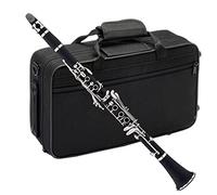 KLKL clarinetto Clarinetto 17 Key Key Tune B/Bakelite Tubi per Tubi Body Body Clarinet Strumento di Legno (Color : 02)